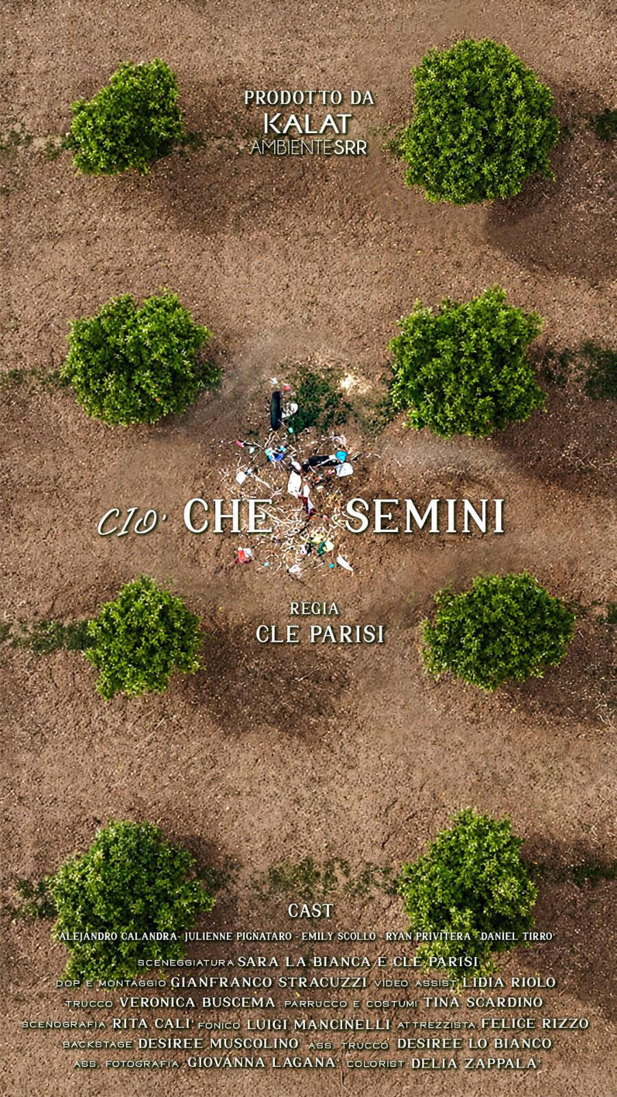 Ciò CHE SEMINI